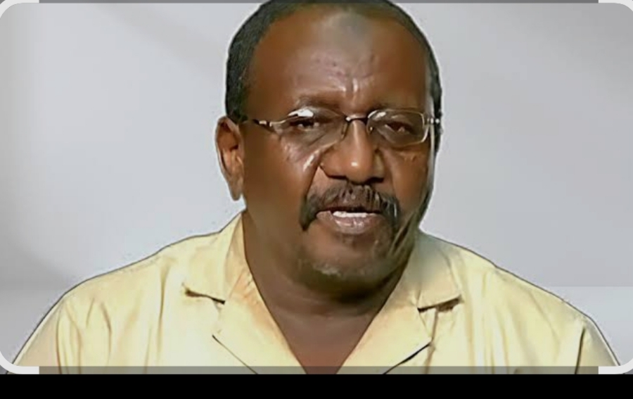 يوسف عبدالمنان يكتب.. بابنوسة ومدني وقصة جنرالين