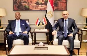 *وزير التعليم والتربية الوطنية د. التهامي الزين يلتقي نظيره المصري ويناقش أوضاع المدارس السودانية
