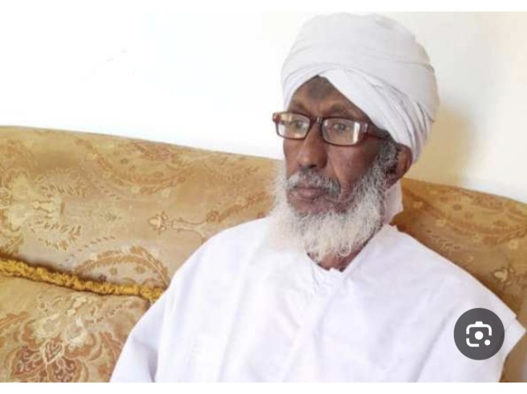رئيس «تكوين»: الحوار السوداني ـ السوداني يمكن أن ينجح إذا عالج جذور الأزمة