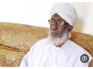 رئيس «تكوين»: الحوار السوداني ـ السوداني يمكن أن ينجح إذا عالج جذور الأزمة